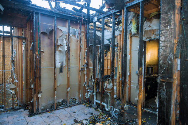 Professional Fire Damage Removal technician working in Rosepine, LA